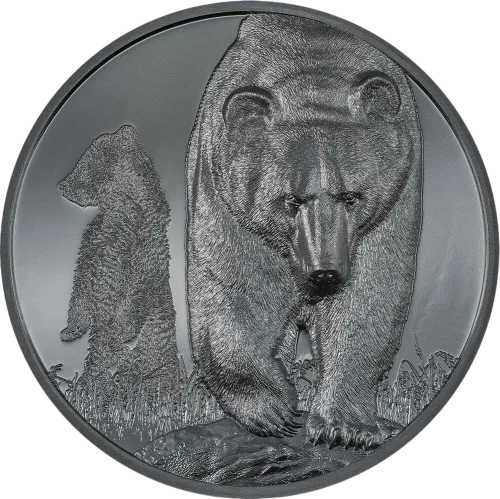 Монета серебряная "BROWN BEAR Growing Up 1000 тугриков" 62,2 г, цена за грамм 10.06 USD на 2026.10.03. Монеты . Передняя сторона